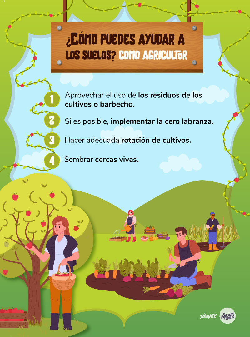 infografia_suelo_agricultor infografia_suelo_agricultor