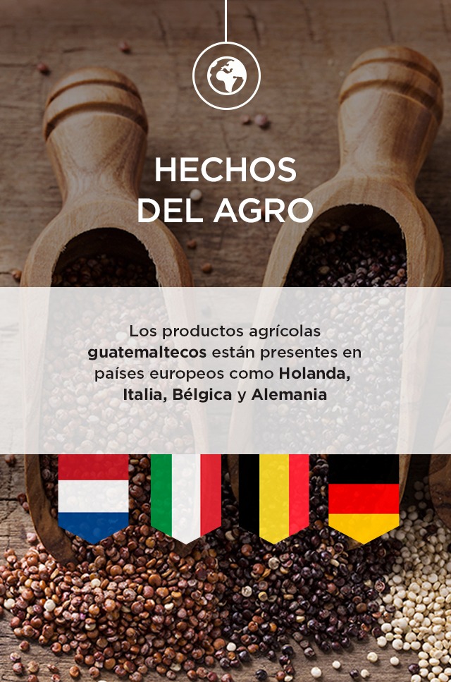 exportaciones agrícolas de Guatemala