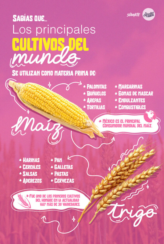 Los principales cultivos del mundo