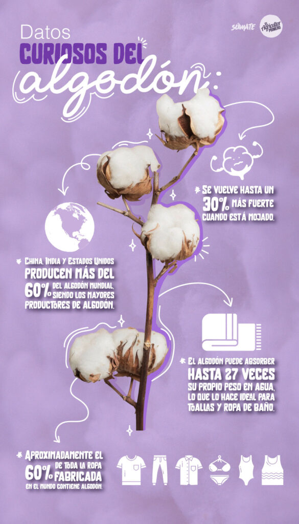 Datos curiosos del algodón