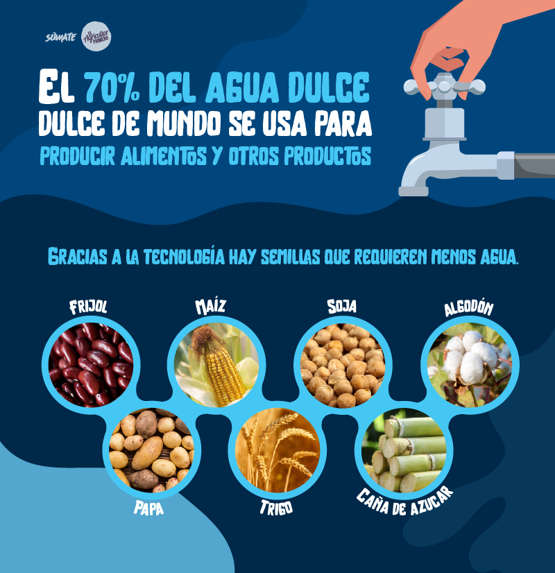 Lo que deben hacer los agricultores para mejorar el uso sostenible del agua
