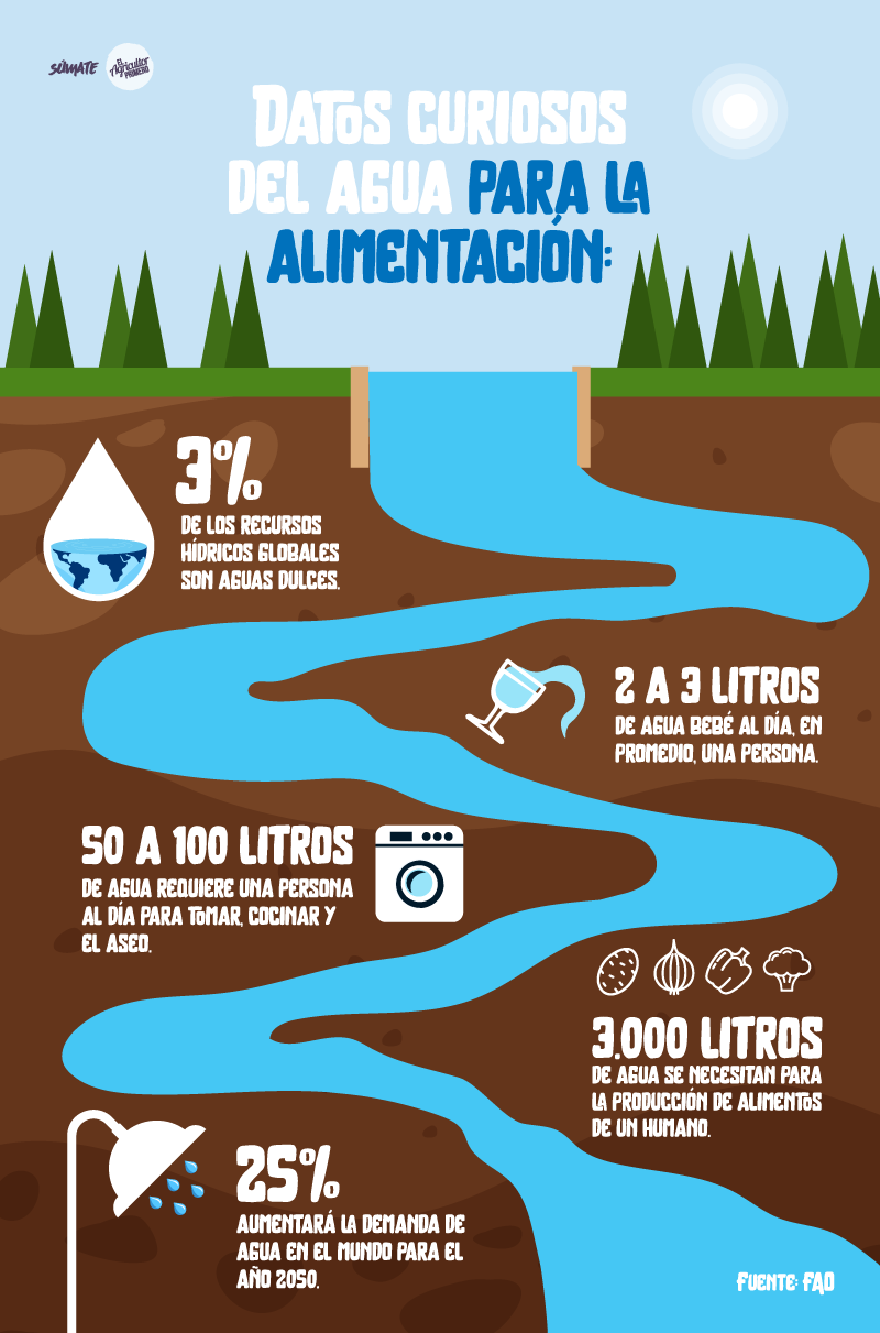 Datos curiosos del agua