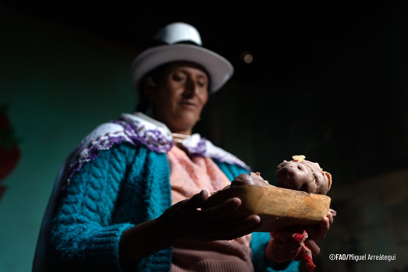 Mujer andina lleva papa blanca cocida en un plato de barro. Mujer andina lleva papa blanca cocida en un plato de barro.