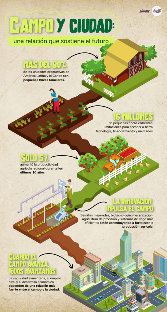 infografia campo y ciudad